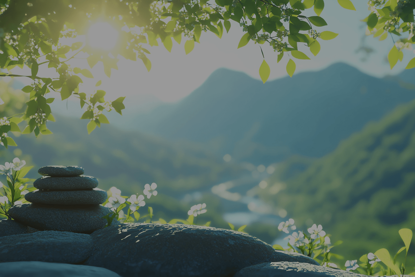 Global Innovators in Literacy Research