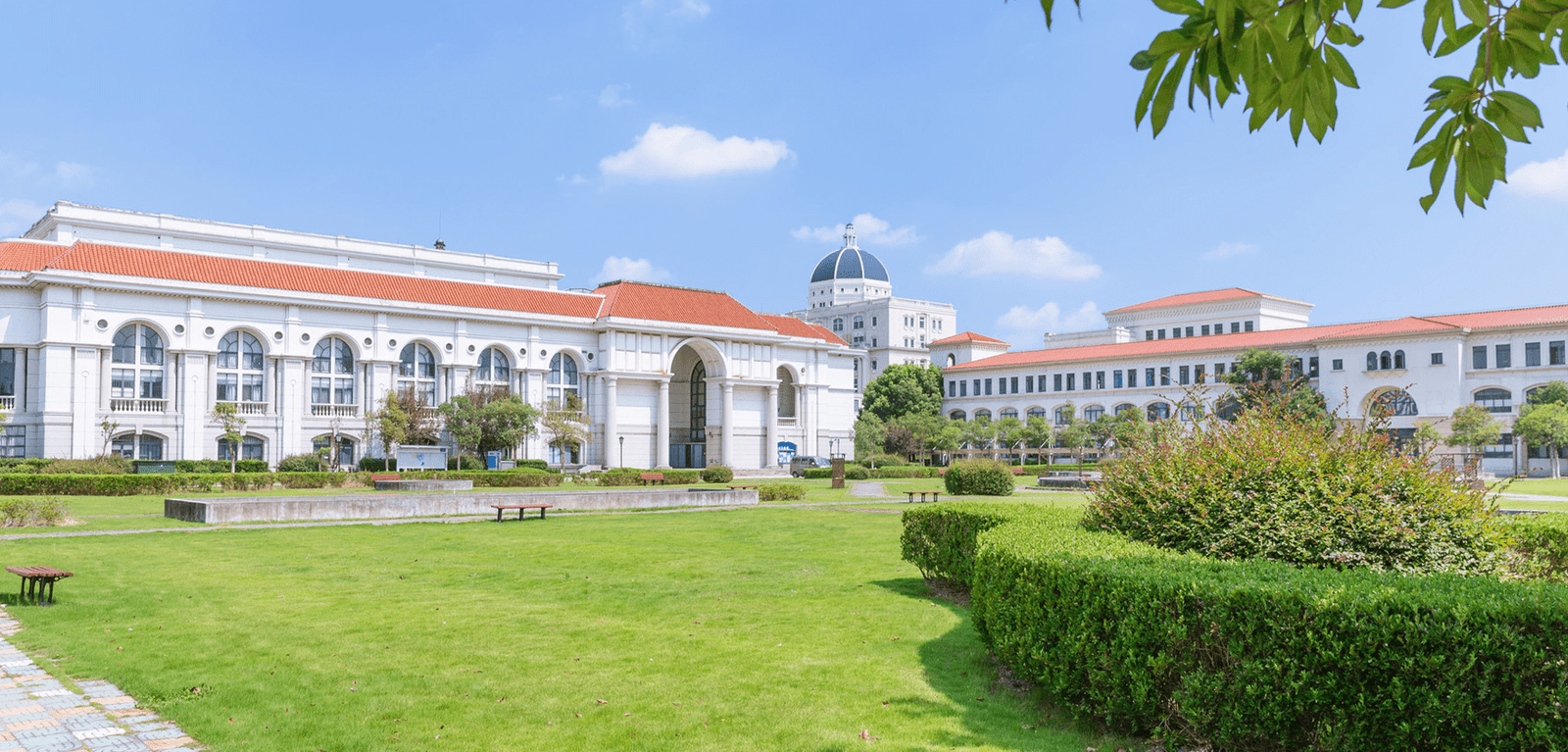 International Programme