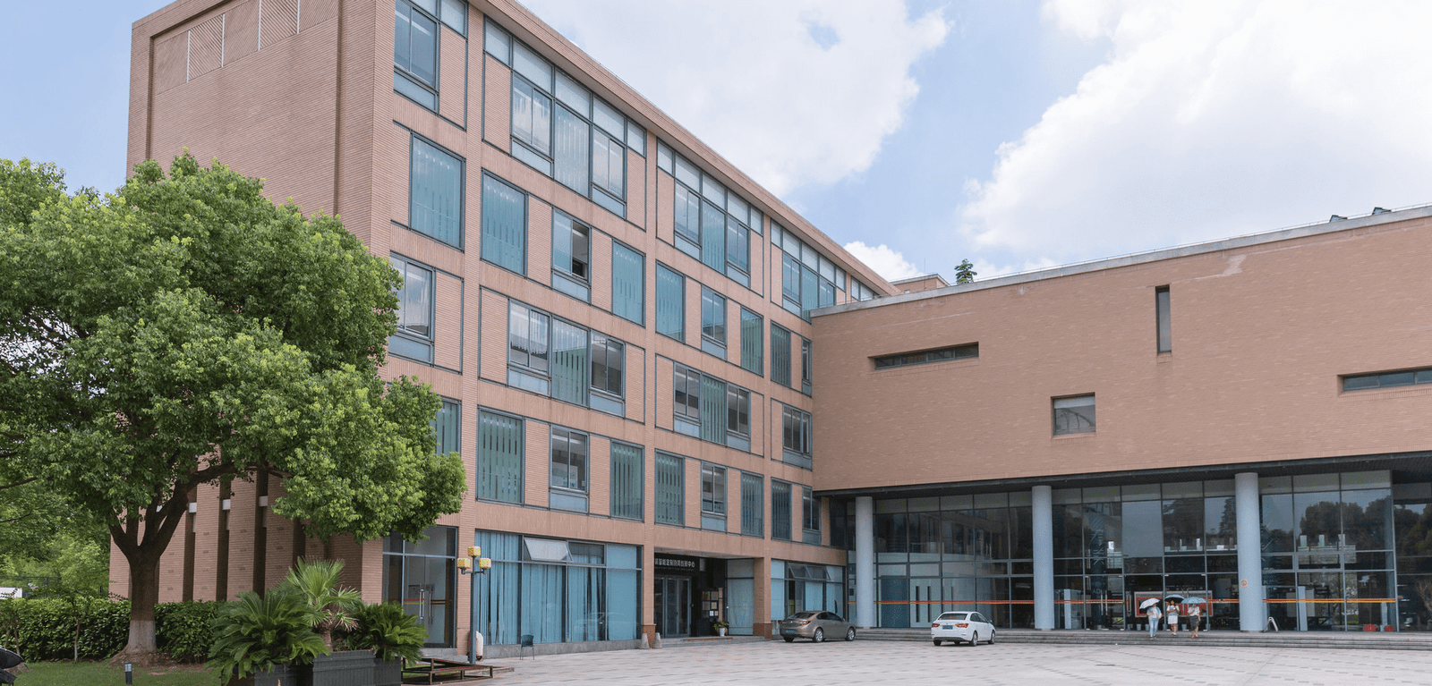 International Programme