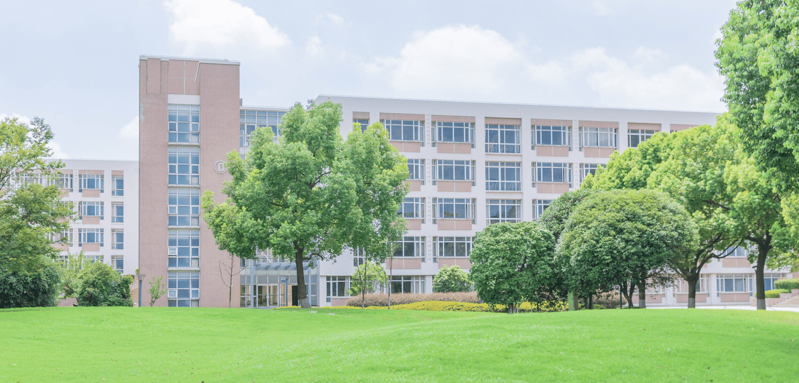 International Programme