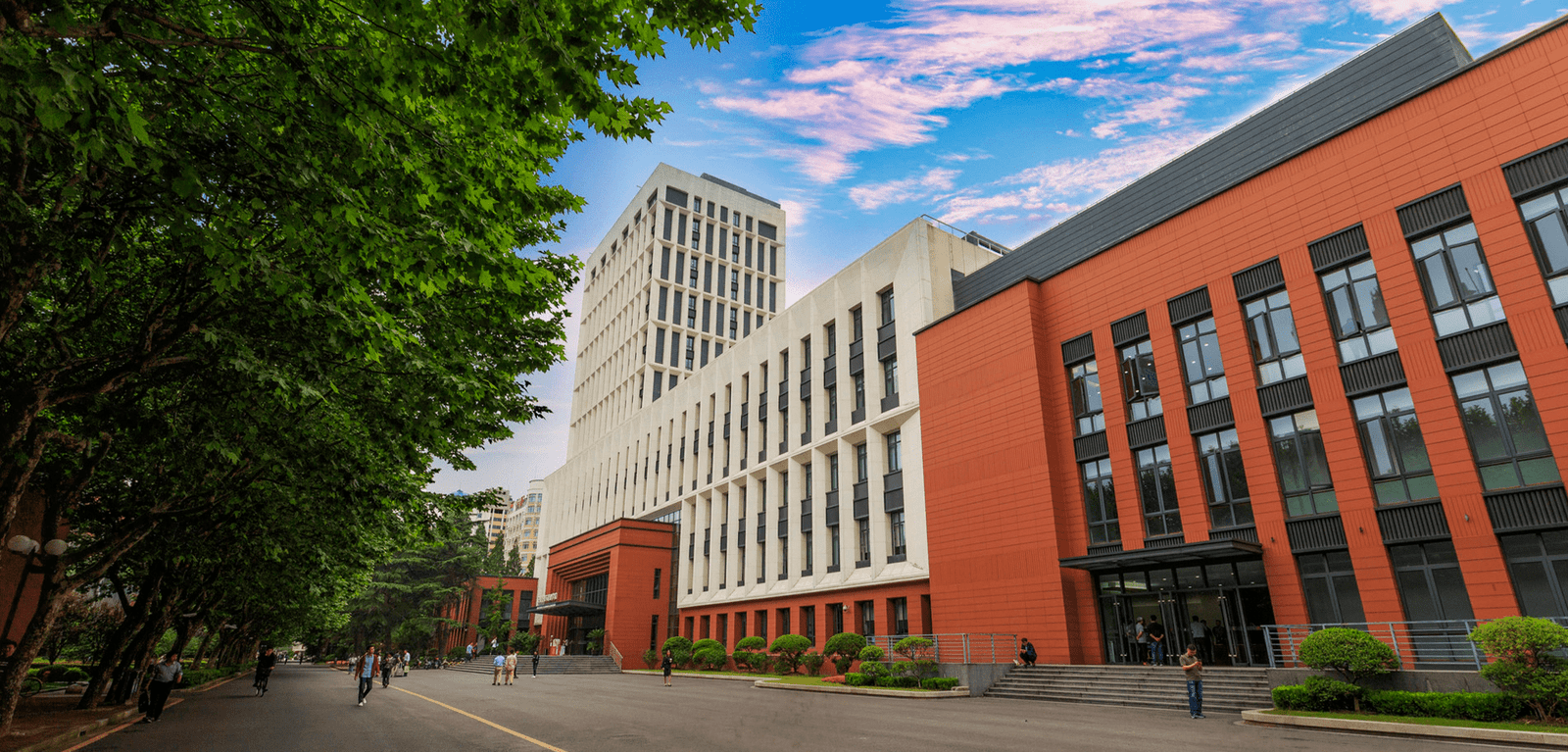 International Programme